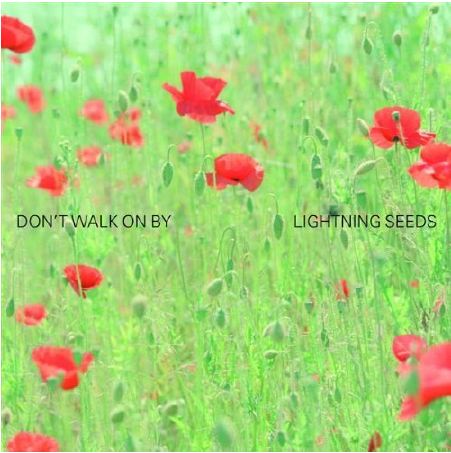 Lightning Seeds - Don't Walk On By
