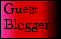 Guest Blogger Entry