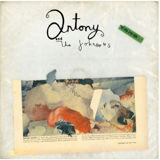Antony and the Johnsons - Swanlights
