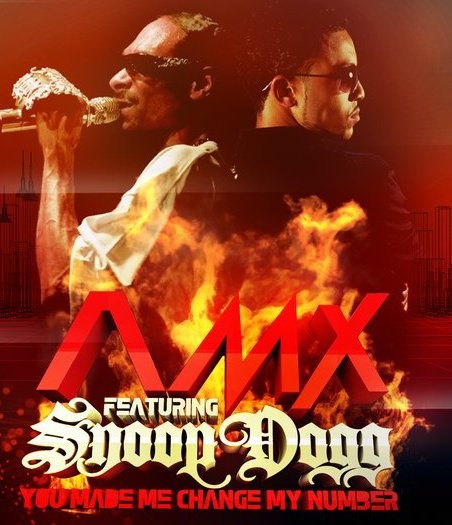 A.M.X. ft Snoop Dogg - AFSHeeN Remix